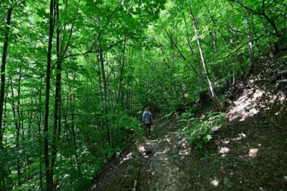 Denizli'de ormanlara girişler yasaklandı