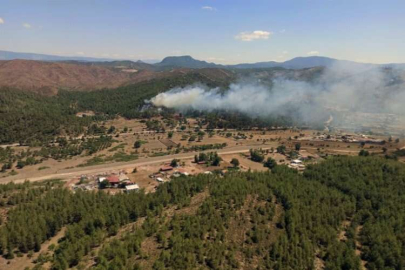 Muğla'da 6 farklı noktada yangın