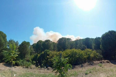 Aliağa'da yangın: 4 ev hasar gördü, 1'i tamamen yandı