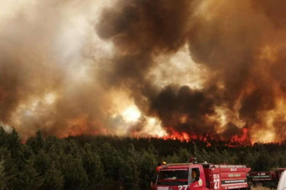 İzmir'in Urla ilçesinde yangın çıktı