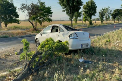 Afyonkarahisar’da otomobil ağaçları devirdi