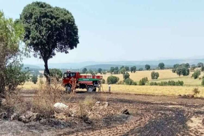 Uşak merkezde korkutan anız yangını