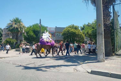 Aydın’da deve kültürü yaşatılmaya devam ediliyor