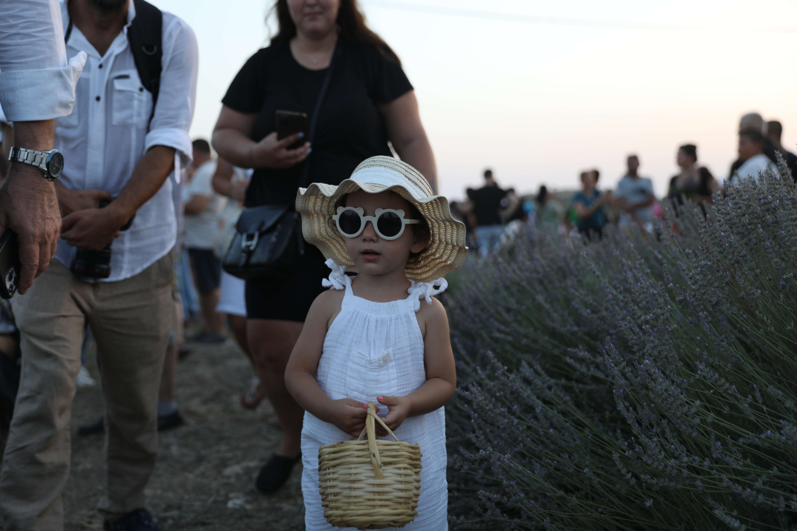 Didim lavanta festivali-ilkses