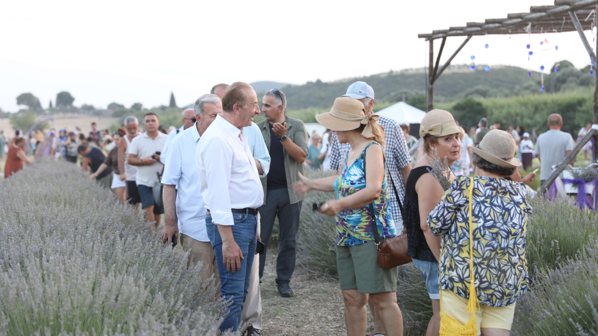 Didim lavanta festivali-ilkses