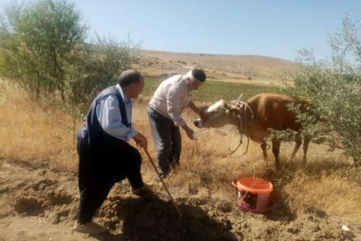 Bayramda kesilmemek için kaçmıştı, 22 gün sonra bulundu