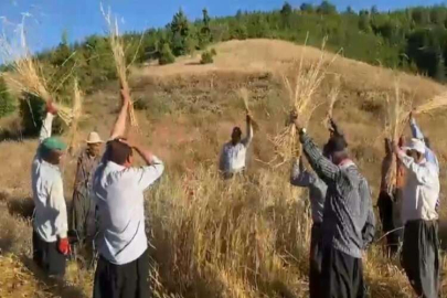 Bereket duası ile geleneksel hasat