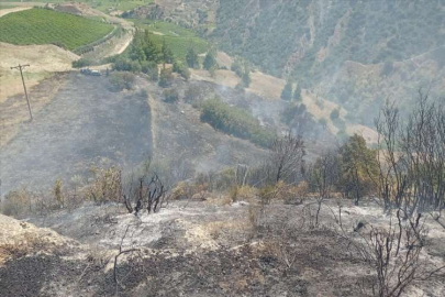 Manisa'da makilik alanda yangın çıktı