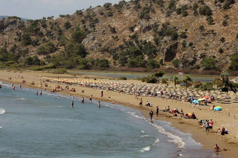 Muğla Bölgesinde İztuzu plajı dışında Fethiye Çalış, Sarıgerme dışında Aydın Kuşadası ilçesinde nadir de olsa Caretta deniz kaplumbağası yuvası görülmeye başlandı. Dalyan İztuzu sahilinde 13 Temmuz tarihine kadar 600 yuva tespit edildi. Bunun yanında Fethiye Çalış plajında 79, Ortaca Sarıgerme plajında ise 69 yuva tespit edilirken, 12 yuva da muhtelif yerlerde tepsi edildi.