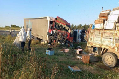 Bal üretimi için gittikleri yerde canlarından oldular