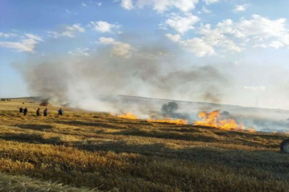 Tarım arazileri yangında küle döndü