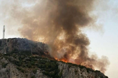 Muğla'da makilik alanda korkutan yangın!