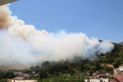 Hatay’da orman yangını! Kontrol altına alındı