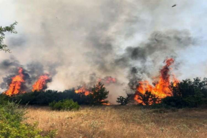 Muğla için kritik günler: 26 - 27 Temmuz dikkat!