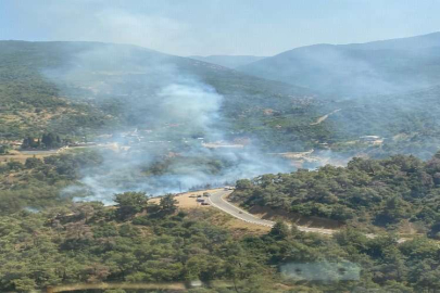 İzmir'de iki orman yangını birden başladı!