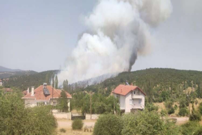 Kütahya'da orman yangını başladı!