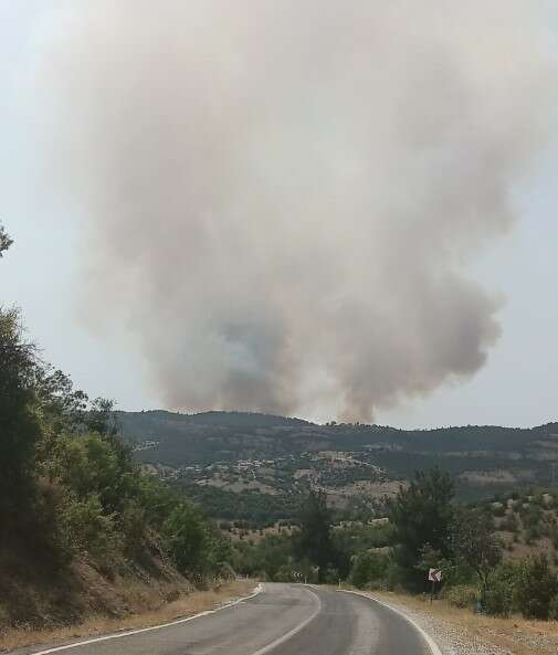 Kütahya'da orman yangını_ilkses (3) (Özel)