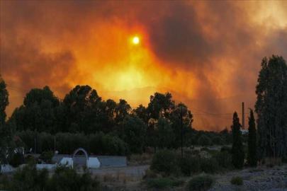 Yunanistan'da orman yangınları bitmek bilmiyor