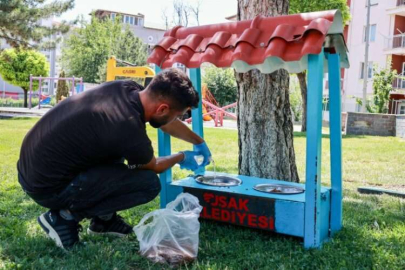 Sıcak havalarda sokak hayvanları da unutulmadı