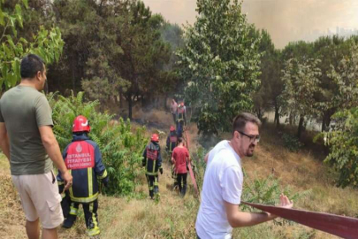 İstanbul'da orman yangını: Müdahale devam ediyor