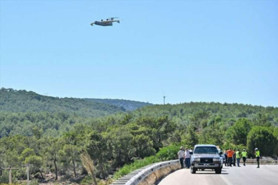 Çeşme'nin yanan kıyıları, sakız ağaçlarıyla yeşerecek