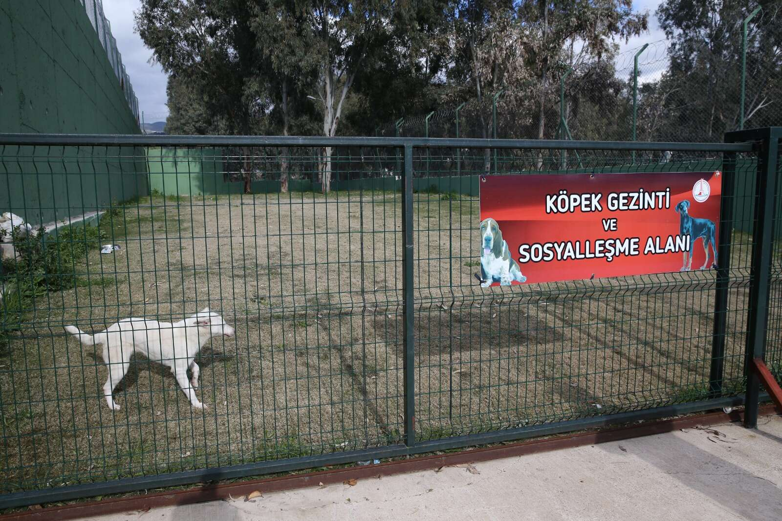 karşıyaka_ilkses