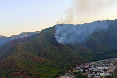 Muğla Marmaris'te orman yangını