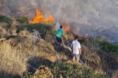 Bodrum’da bir orman küle döndü 