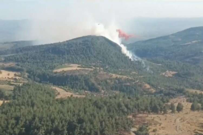 Manisa Soma'da orman yangını!