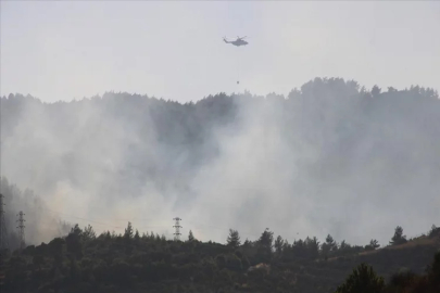 Hatay'da çıkan orman yangınına müdahale sürüyor