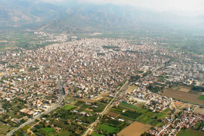 Resmi Gazete’de yayımlandı: O ilçede zeytin bahçesi ve tarlalar satılıyor