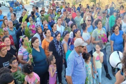 Dikmece Mahallesi: Toplu konut planları ve kamulaştırma direnişi