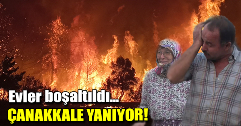 Çanakkale yangınının bilançosu ortaya çıktı