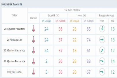 Manisa’da orman yangını!