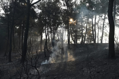 Çanakkale'deki yangın kontrol altında