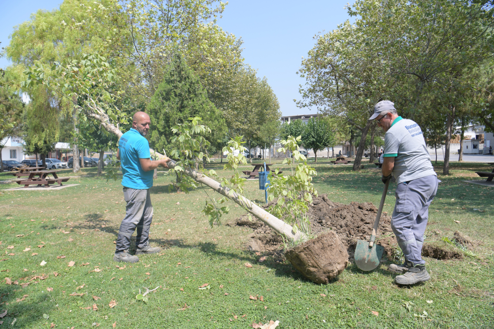 yeni park_ilkses (1)