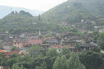 Sofranızdan hiçbir zaman eksik etmeyin! Kansere karşı etkili