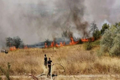 İstanbul'da korkutan orman yangını