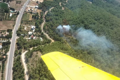 Menderes'te korkutan orman yangını