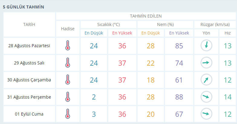 maniii-ilkses-1