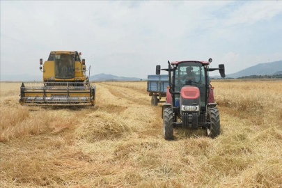 Kahramanmaraş'ta buğday hasadı başladı