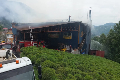 Rize’de çay fabrikasında yangın paniği yaşandı