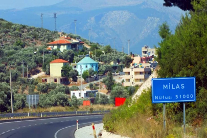 Muğla Milas'ta avlulu kargir mahkeme kararıyla satılık