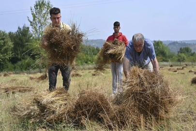 Şile'de çiftçiler, TAKE projesiyle yıllar sonra tekrar keten ekimine başladı