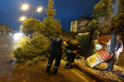 Manisa'da fırtına etkili oldu: Ağaçları devirdi!