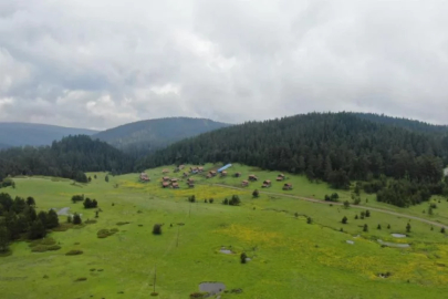 Kastamonu’nun yaylaları eşsiz manzarasıyla keşfedilmeyi bekliyor