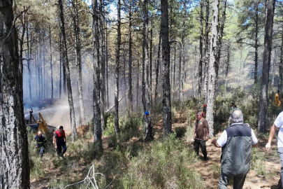 Muğla'da yıldırım kaynaklı 36 yangın