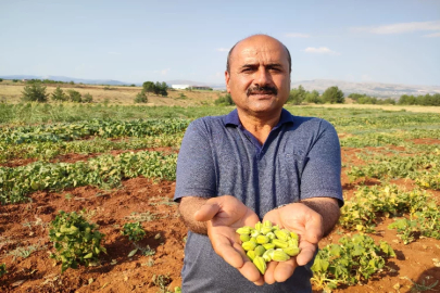 Denizli'nin meşhur bamyayasına coğrafi işaret çalışması başlatıldı