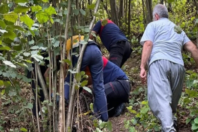 Zonguldak'ta bir kişi fındık toplarken ağaçtan düştü