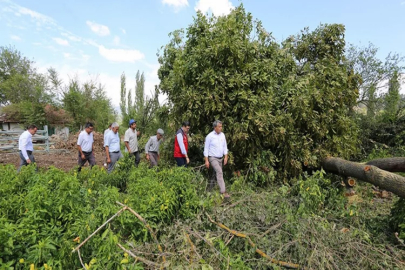 Muğla'da dolu ve fırtınadan etkilenen tarım alanlarında hasar tespit çalışmaları yapıldı